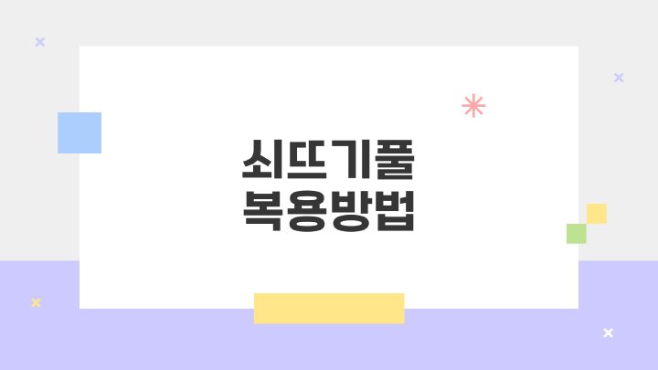 아침햇살