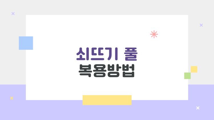 쇠뜨기풀복용방법, 2026 최신 트렌드 완벽 가이드