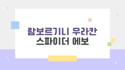 람보르기니 우라칸 스파이더 에보, 3억대 중고로 살 수 있을까?