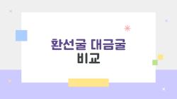 환선굴 대금굴 비교, 하루에 둘 다 가봤더니 생긴 차이 충격