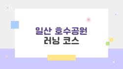 일산 호수공원 러닝 코스, 2026 봄 하프마라톤 코스로 대박 난 곳