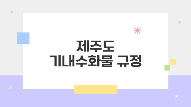 제주도 기내수화물 규정