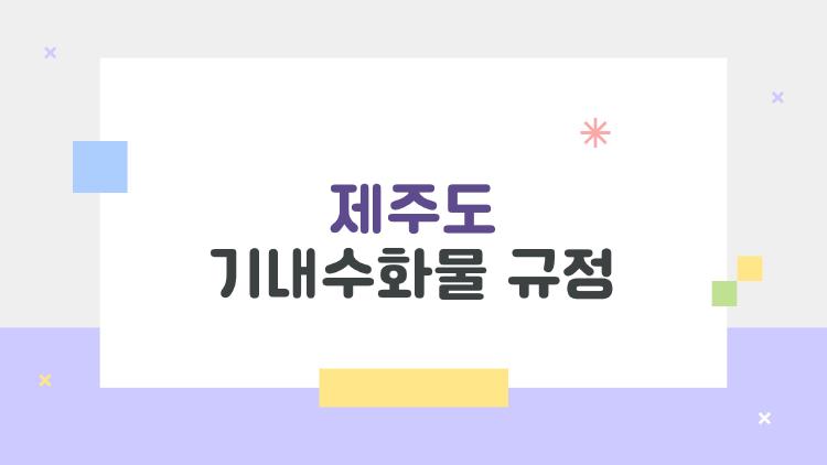 제주도 기내수화물 규정, 공항에서 당황한 당신에게 충격 반전 팁