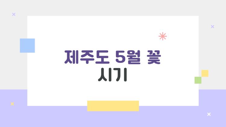 제주도 5월 꽃 시기