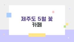 제주도 5월 꽃 카페, 장미 터널 속 커피 한 잔이 인생샷 만든다