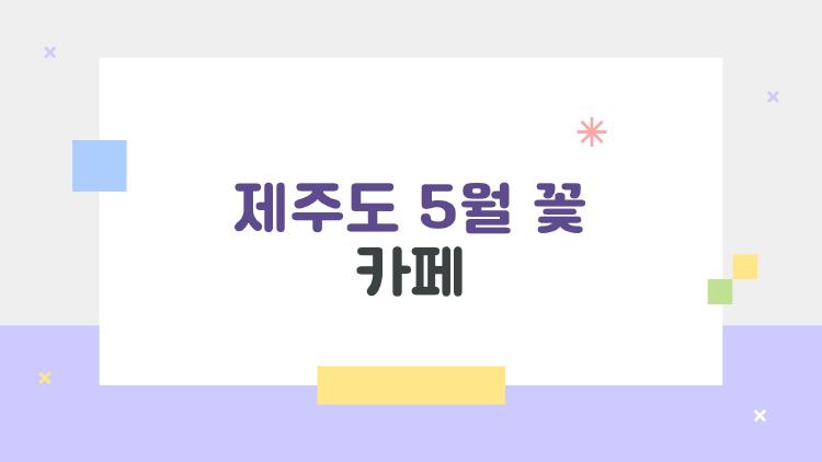 제주도 5월 꽃 카페