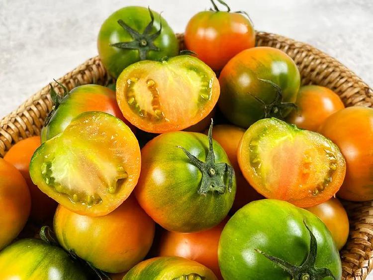 짭짤이토마토 요리, 단짠 맛에 왜 다들 반했지?