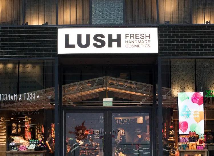 러쉬코리아 연봉, 2026년 대폭 인상? 지원 전 알아야 할 팩트