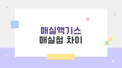 매실액기스 매실청 차이, 건강 챙기는 게 뭐가 나을까
