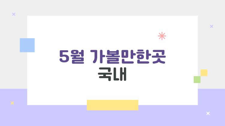 5월 가볼만한곳 국내, 제주 바다에 홀딱 빠져버린 여행자들 진짜 이야기