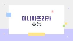미니파프리카 효능, 지방간 50% 줄이는 충격 비밀