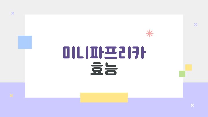 아침햇살