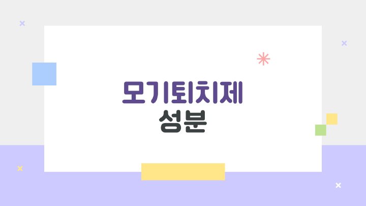 아침햇살