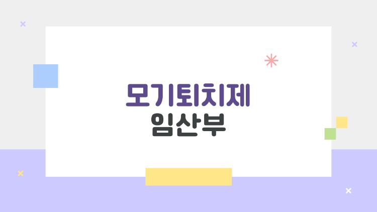 모기퇴치제 임산부, 정말 안전할까? 2026년 최신 정보로 쉽게 풀어줘