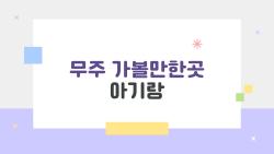 무주 가볼만한곳 아기랑 왜 태권도원이 1등일까 솔직 후기