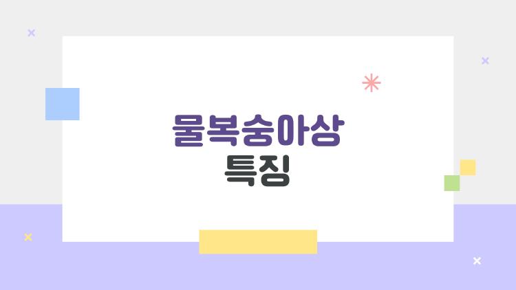 물복숭아상 특징