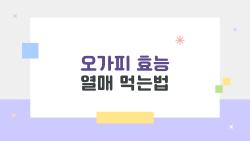 오가피 효능 열매 먹는법, 면역력 폭발하는 비밀 공개