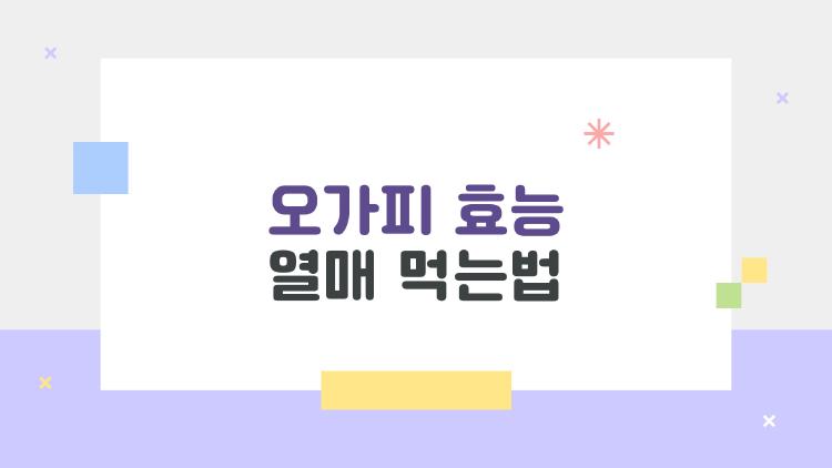 오가피 효능 열매 먹는법