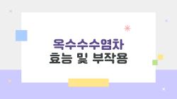옥수수수염차 효능 및 부작용, 부작용 모르고 마시면 위험한 이유 5가지