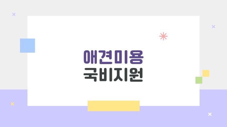 애견미용 국비지원