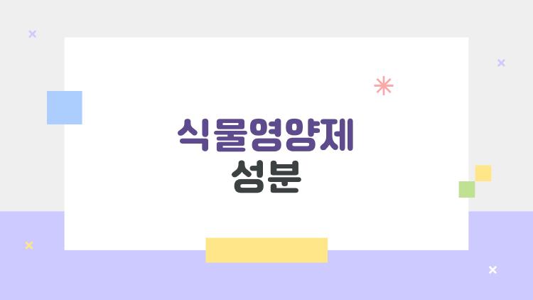 식물영양제 성분 2026 핫 트렌드 대공개