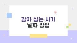 감자 심는 시기 날짜 방법, 장마 오기 전에 캐는 비밀 타이밍