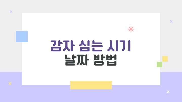 아침햇살
