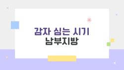 감자 심는 시기 남부지방, 늦서리 피하는 2026년 황금 타이밍 대공개