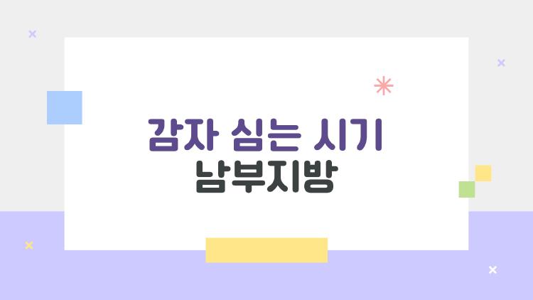 감자 심는 시기 남부지방