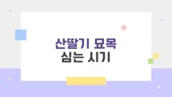 산딸기 묘목 심는 시기, 초보자 100% 성공 비법