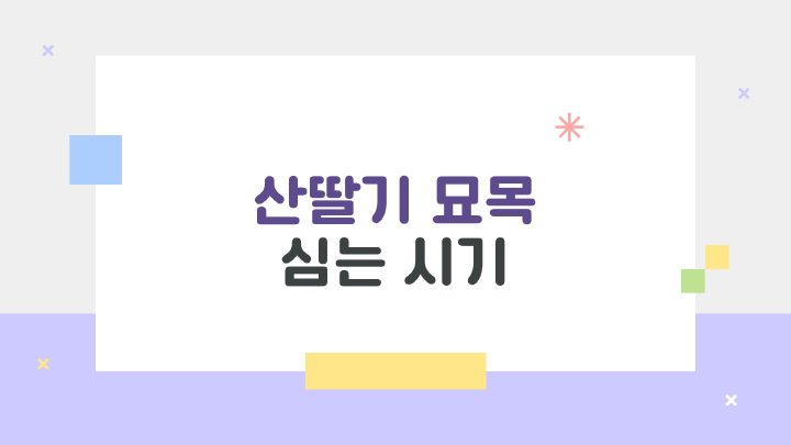 아침햇살