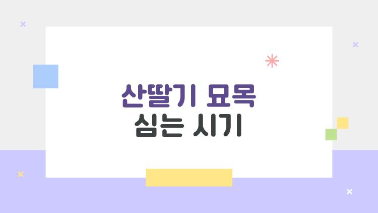 산딸기 묘목 심는 시기, 초보자 100% 성공 비법