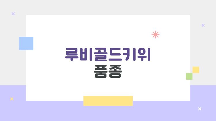 루비골드키위 품종