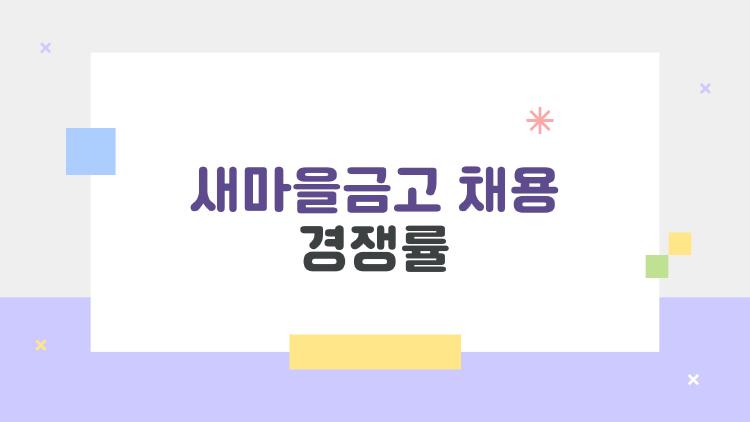 새마을금고 채용 경쟁률