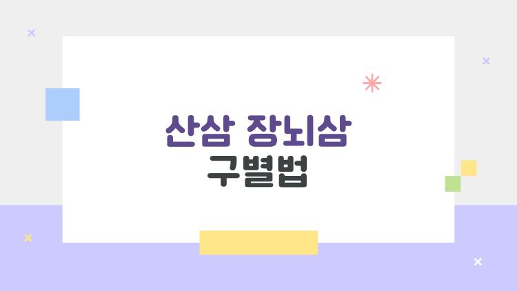 산삼 장뇌삼 구별법