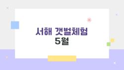 서해 갯벌체험 5월, 발 빠지는 쫄깃함에 푹 빠진 이유