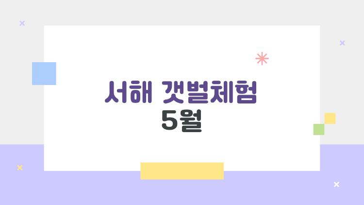 서해 갯벌체험 5월, 발 빠지는 쫄깃함에 푹 빠진 이유