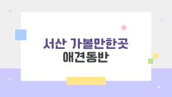 서산 가볼만한곳 애견동반, 강아지 꼬리 흔드는 해변 천국