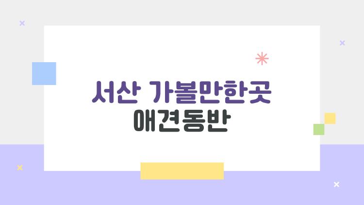 서산 가볼만한곳 애견동반