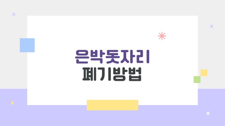 은박돗자리 폐기방법