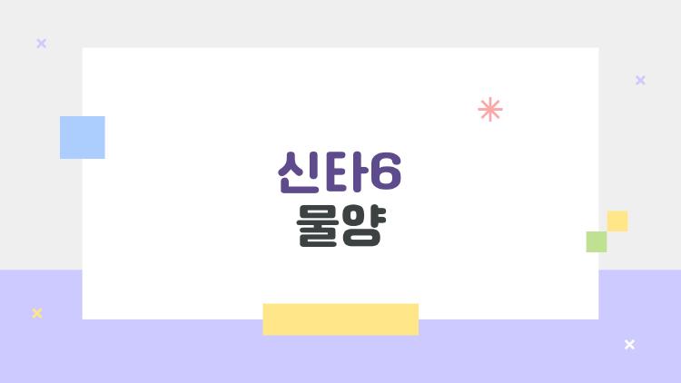 신타6 물양, 이만큼 넣으면 맛이 확 달라진다