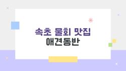 속초 물회 맛집 애견동반, 강아지랑 바다뷰 먹방 터졌다