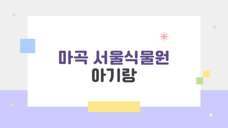 마곡 서울식물원 아기랑, 실내·실외 완전 정복한 하루 스케줄은?