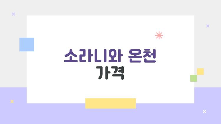 소라니와 온천 가격