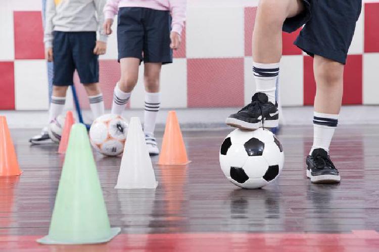 생활체육지도자 2급 일정 2026, 서버 터지기 전에 서둘러야 할 이유