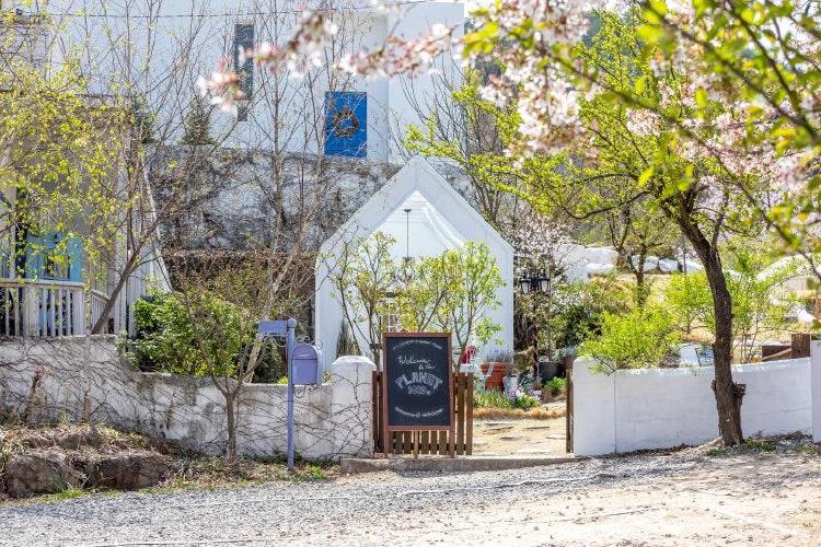 쌍계사 카페, 지리산 뷰에 녹차 한 잔 마시러 가봤더니 인생샷 폭발!