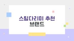 스팀다리미 추천 브랜드, 예열 20초 만에 삶이 바뀐다니까