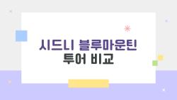 시드니 블루마운틴 투어 비교, 가성비 No.1 숨겨진 보석 찾기
