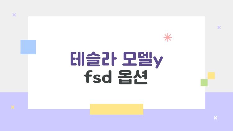 테슬라 모델y fsd 옵션