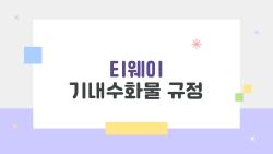 티웨이 기내수화물 규정, 10kg 초과하면 공항서 2만 원 날린다?